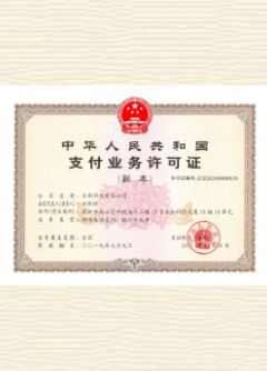 皂市镇荣誉证书